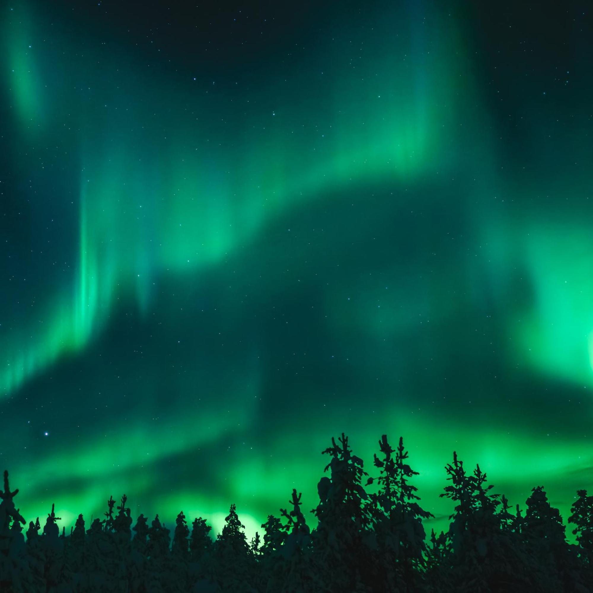 Skog Aurora Igloos Villa Kalix Eksteriør bilde