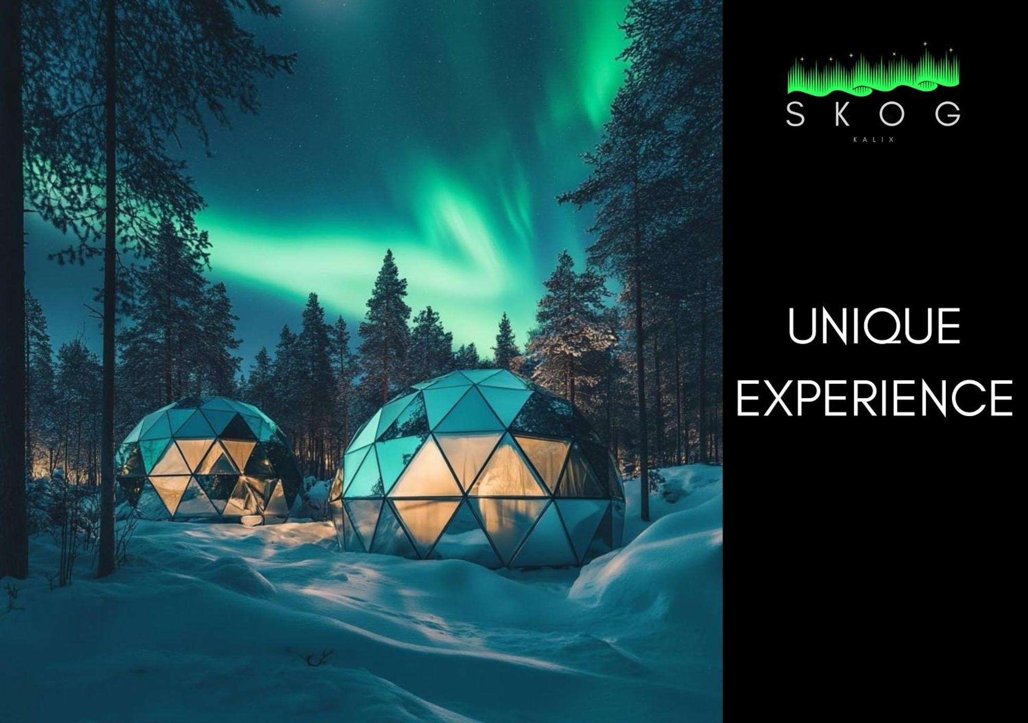 Skog Aurora Igloos Villa Kalix Eksteriør bilde