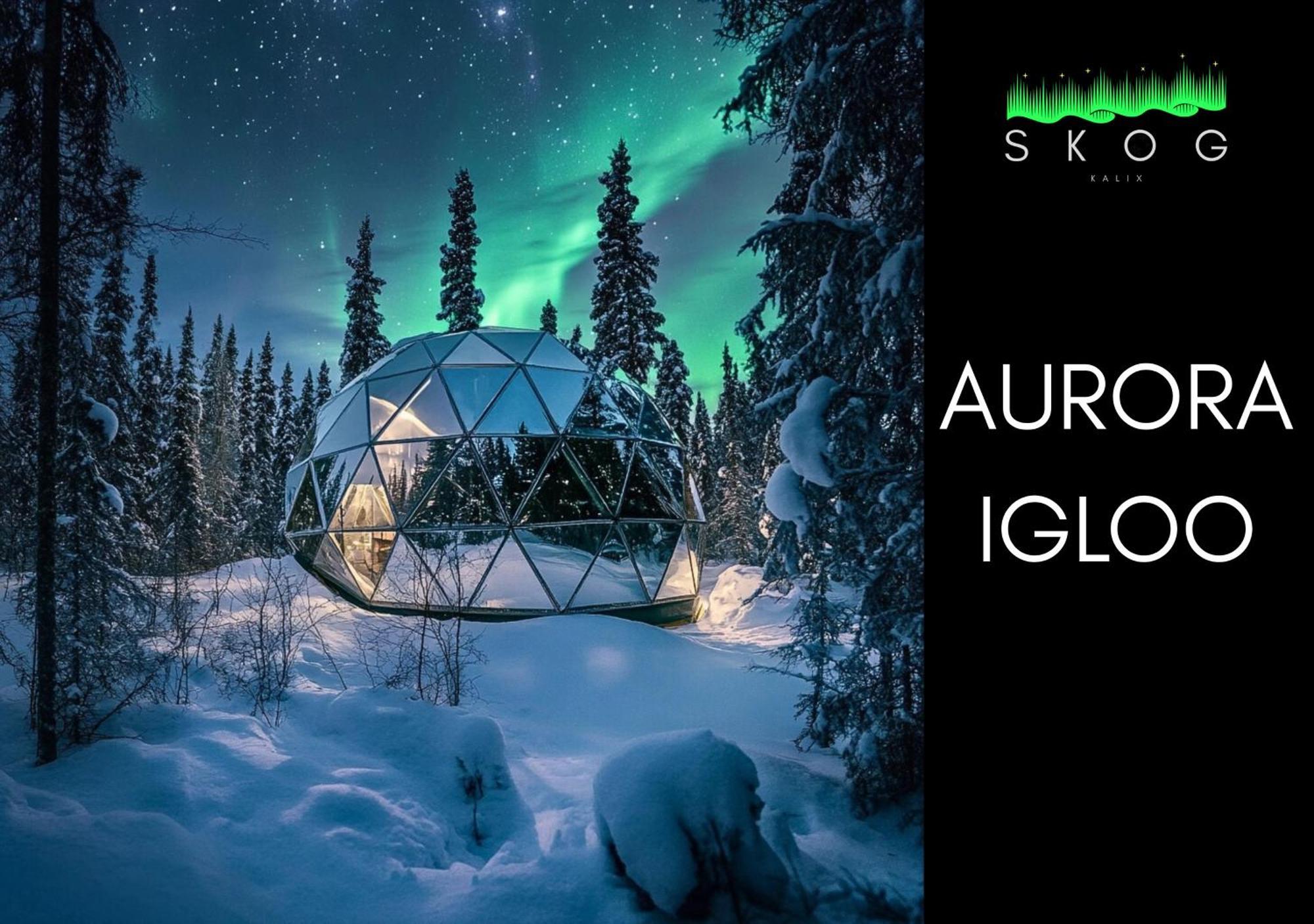 Skog Aurora Igloos Villa Kalix Eksteriør bilde