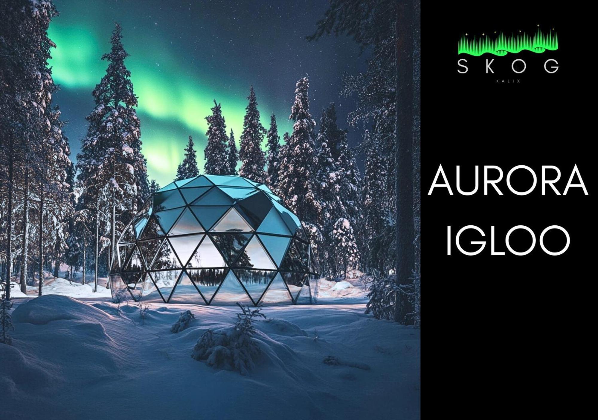 Skog Aurora Igloos Villa Kalix Eksteriør bilde