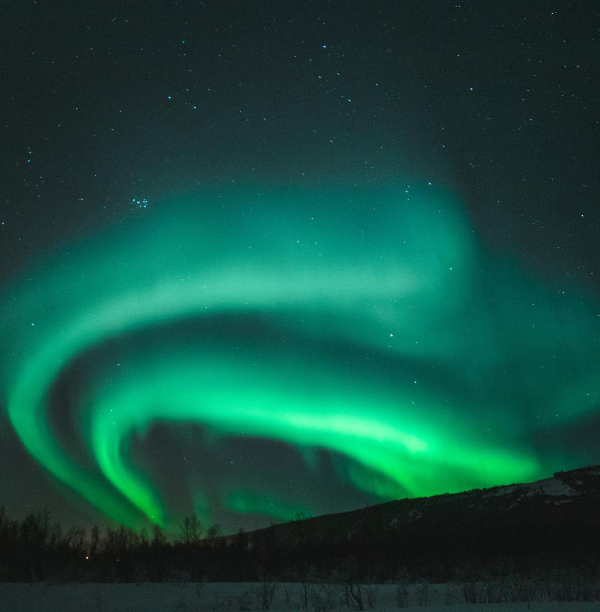 Skog Aurora Igloos Villa Kalix Eksteriør bilde