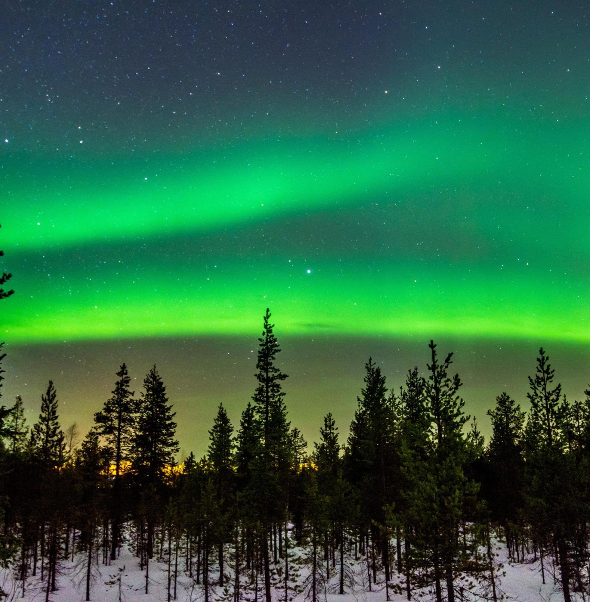 Skog Aurora Igloos Villa Kalix Eksteriør bilde