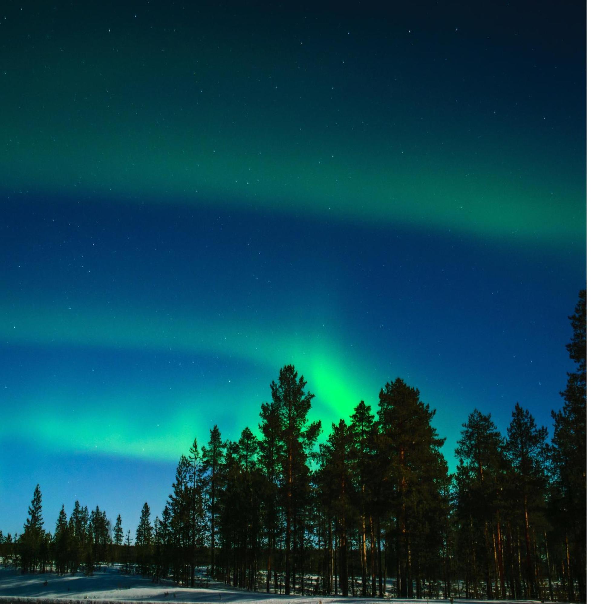 Skog Aurora Igloos Villa Kalix Eksteriør bilde