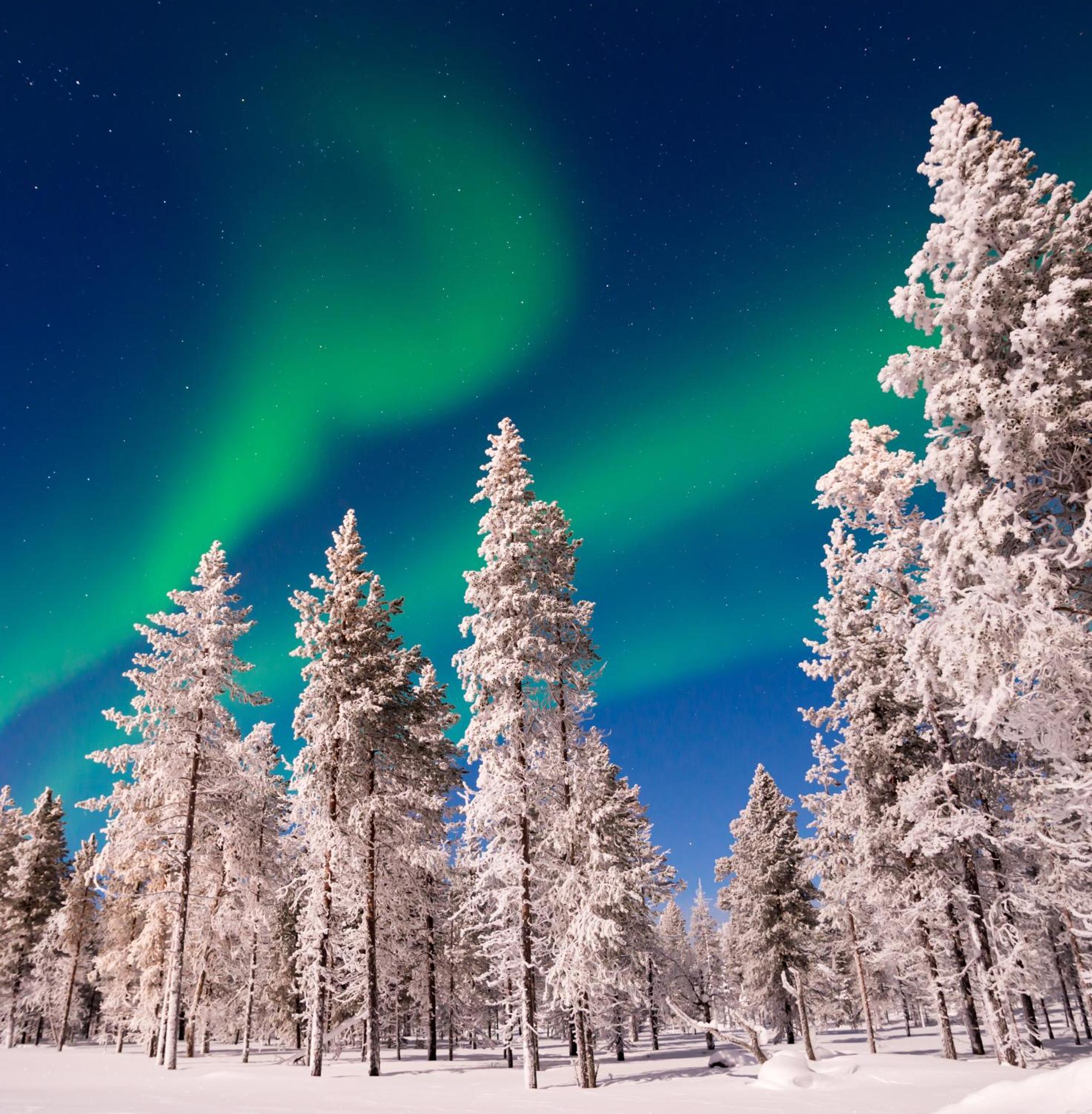 Skog Aurora Igloos Villa Kalix Eksteriør bilde