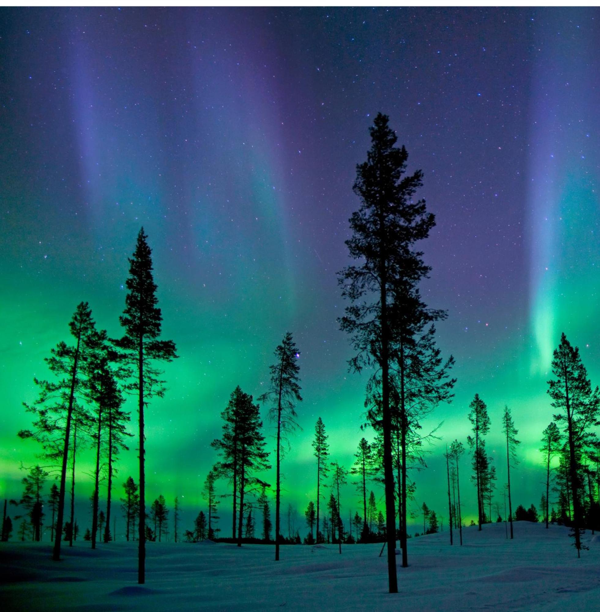 Skog Aurora Igloos Villa Kalix Eksteriør bilde