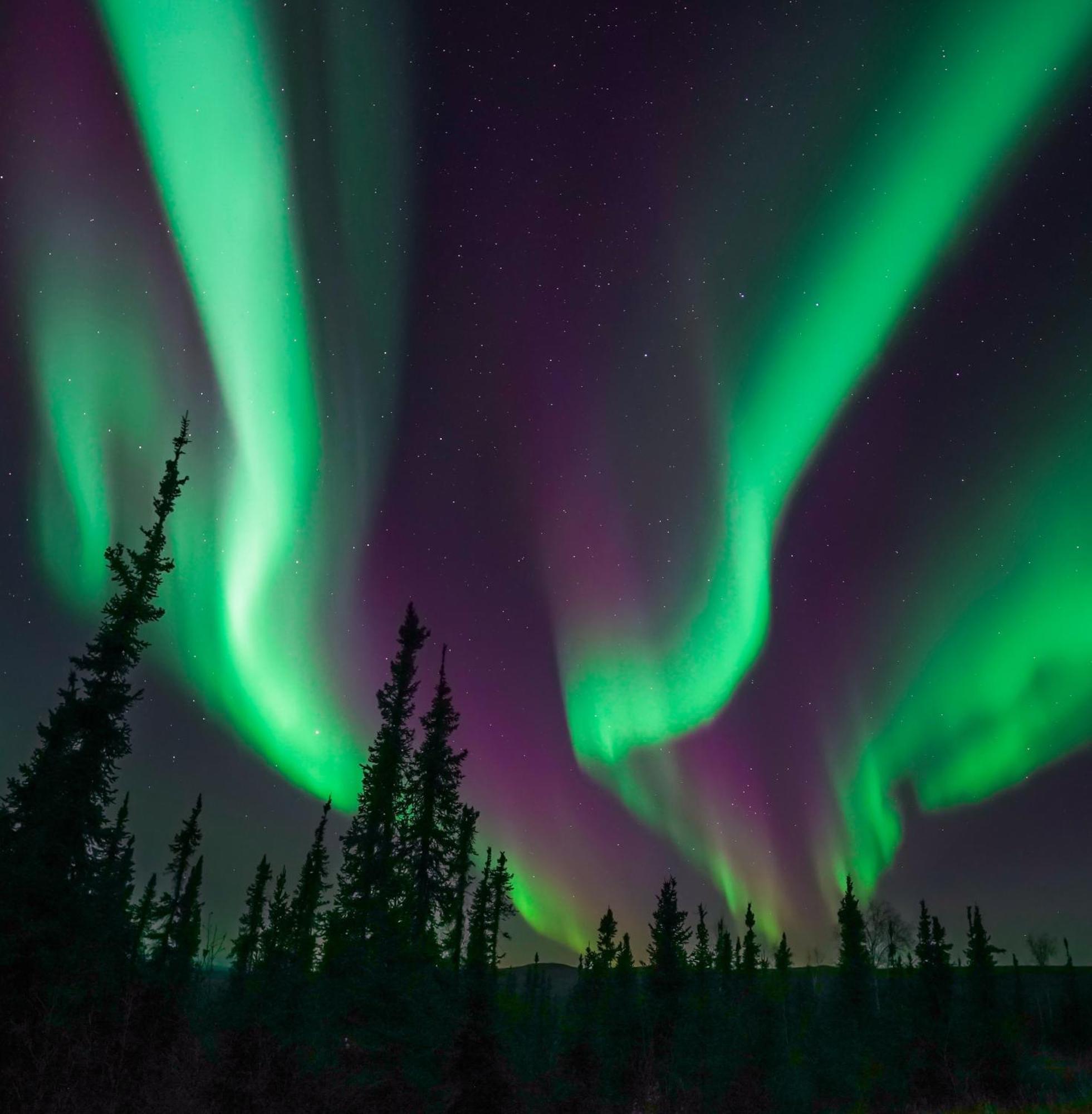 Skog Aurora Igloos Villa Kalix Eksteriør bilde