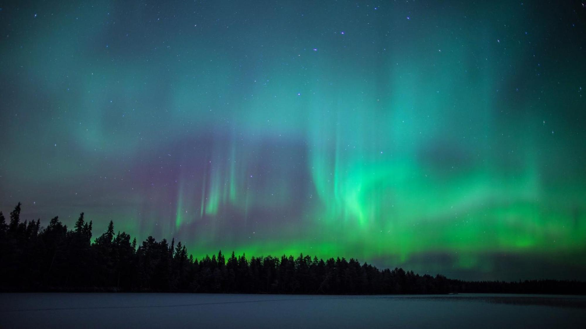 Skog Aurora Igloos Villa Kalix Eksteriør bilde