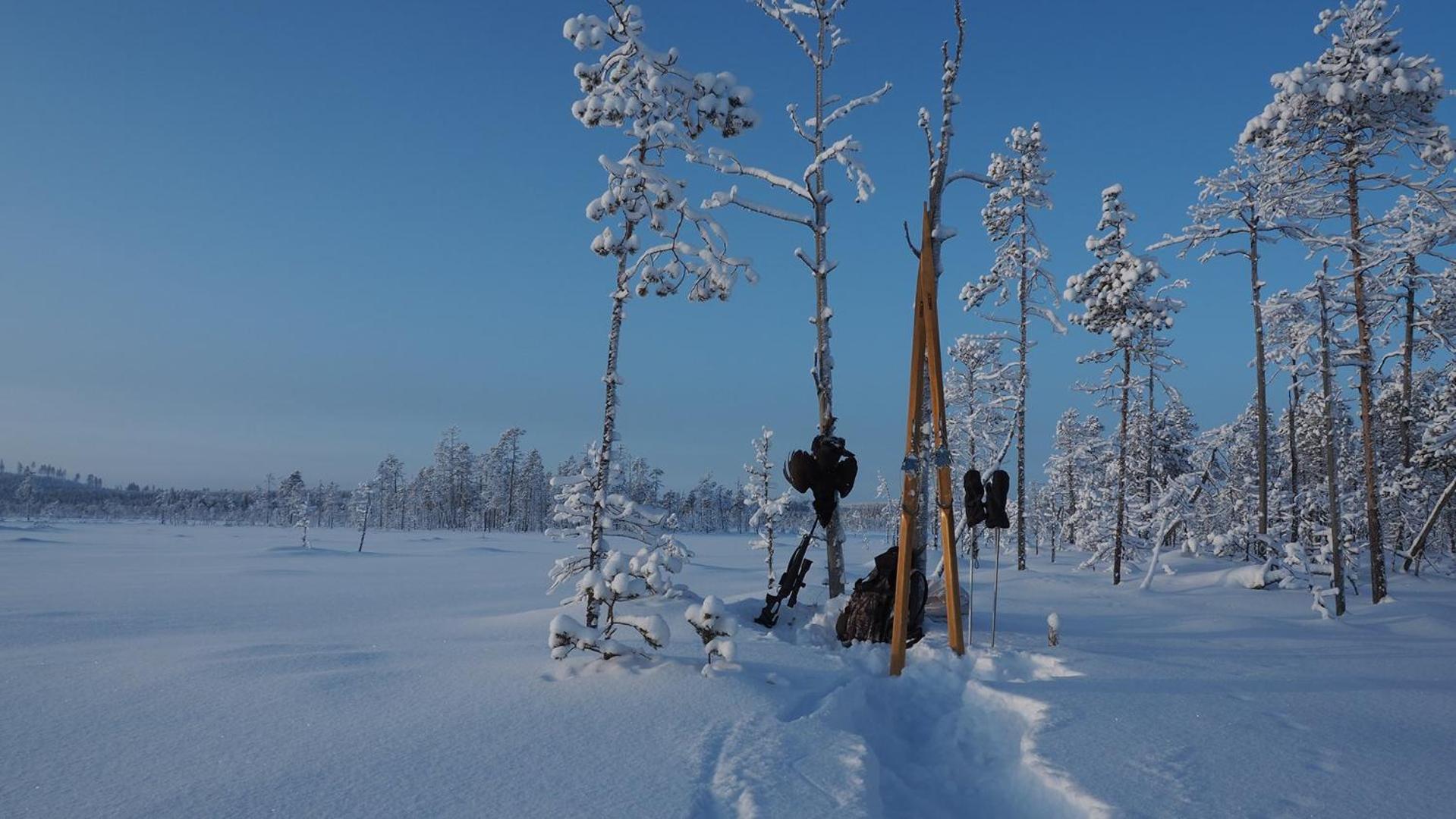 Skog Aurora Igloos Villa Kalix Eksteriør bilde